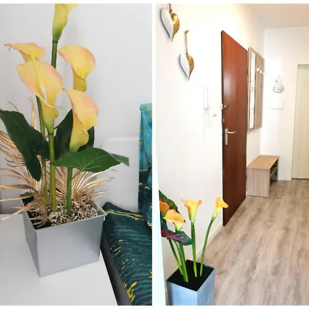 2-zimmer Mit Balkon In